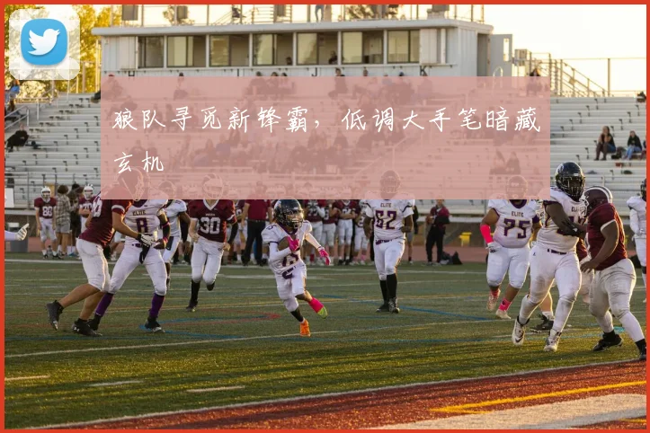 狼队寻觅新锋霸,低调大手笔暗藏玄机