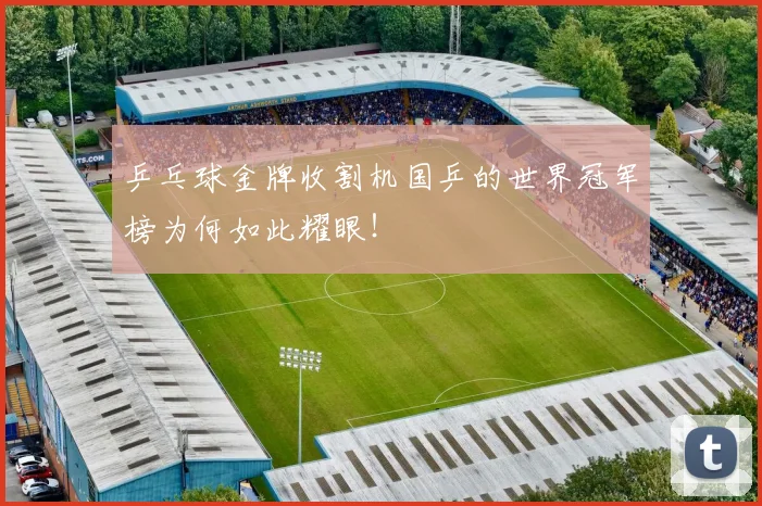 乒乓球金牌收割机国乒的世界冠军榜为何如此耀眼！